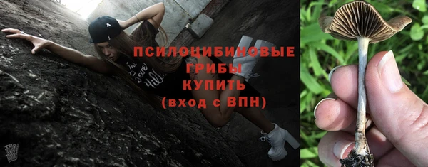 крисы Лиски
