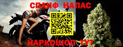 прущие грибы Тара