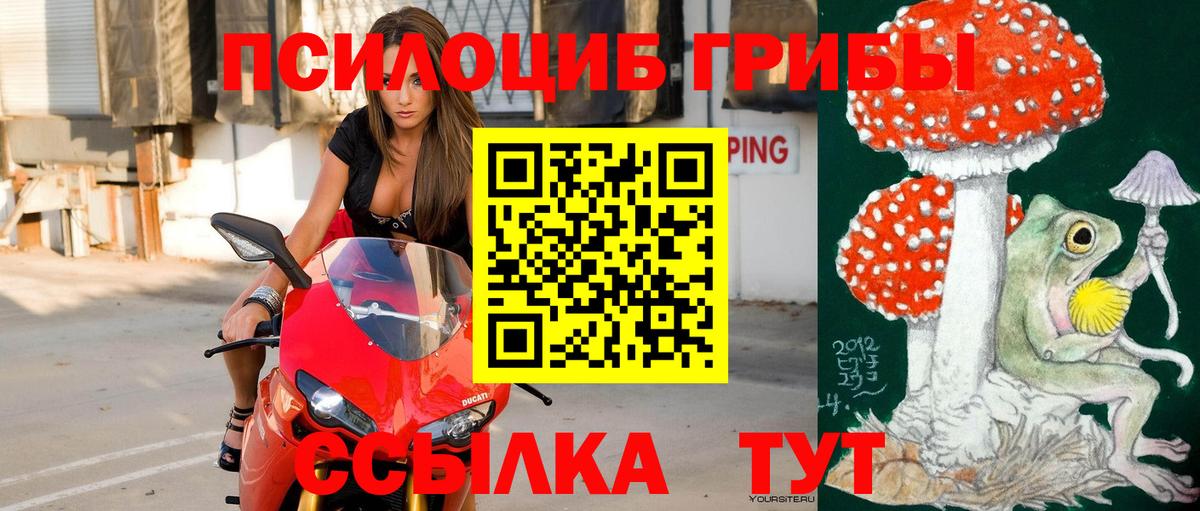 Галлюциногенные грибы MAGIC MUSHROOMS Киржач