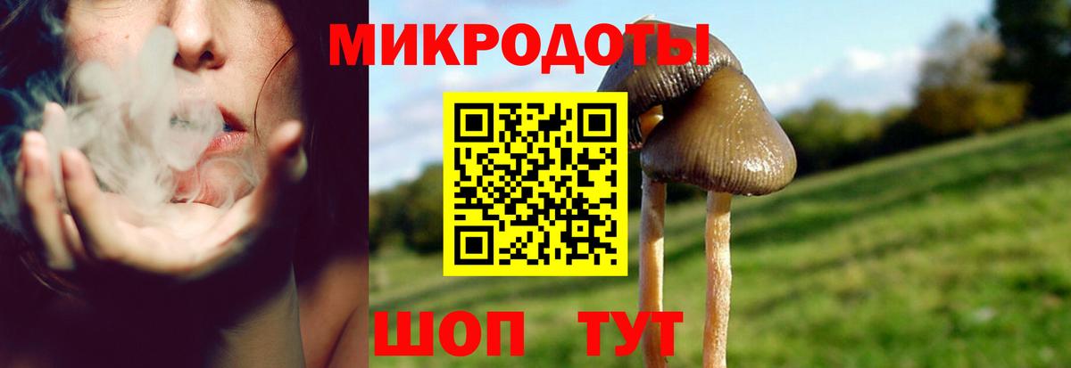 Галлюциногенные грибы мухоморы  Вход с VPN  Киржач 